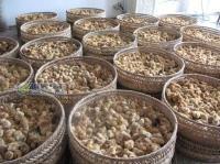 廣西靈山假三黃雞苗——農(nóng)副產(chǎn)品市場的機(jī)遇與挑戰(zhàn)